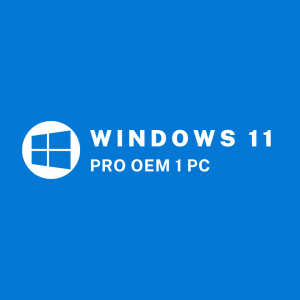LISENSI WINDOWS 11 PRO OEM 1 PC LIFETIME